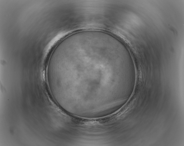 X0000090931462200708061553