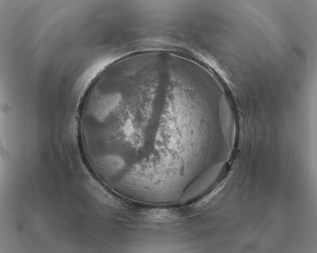 X0000090931463200708061553