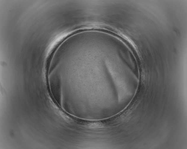 X0000090931464200708061553