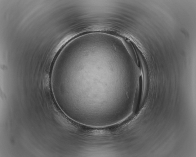 X0000090931465200708061553