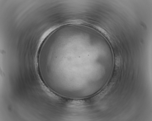 X0000090931466200708061553