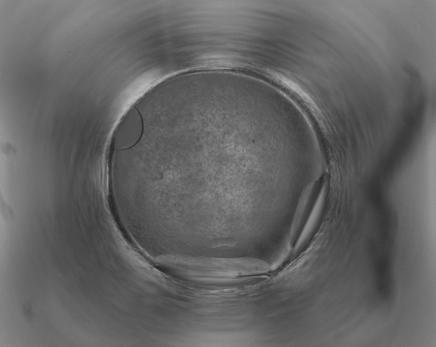 X0000090931467200708061553
