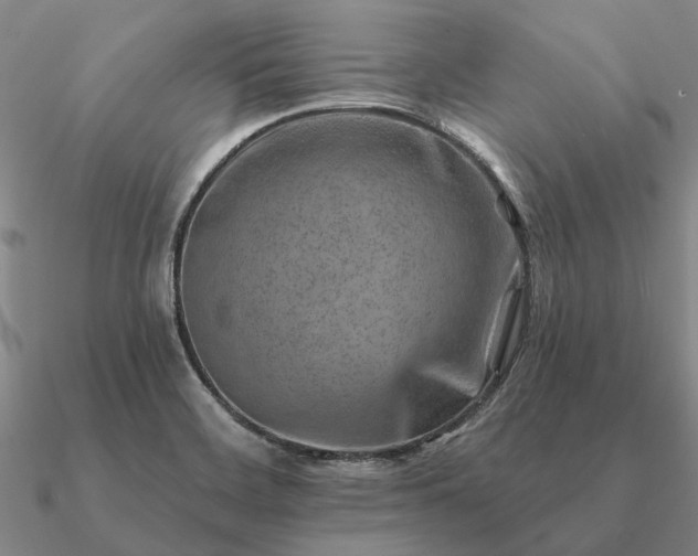 X0000090931468200708061553