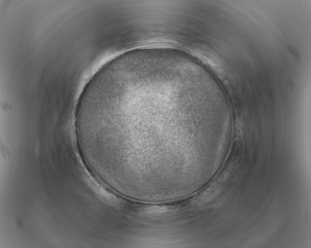 X0000090931470200708061553