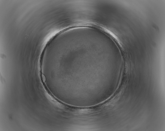 X0000090931471200708061553