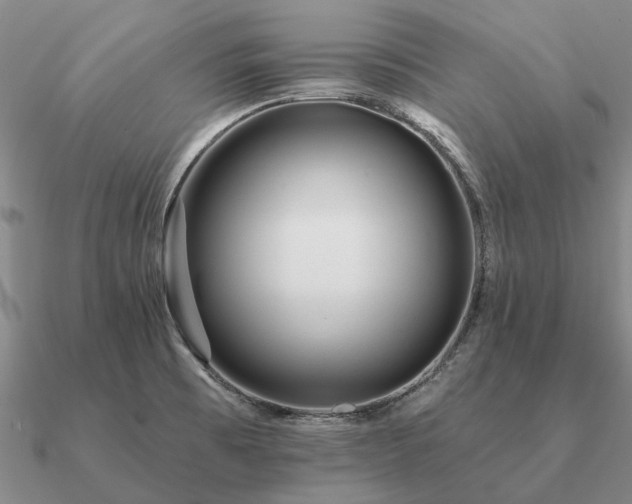 X0000090931473200708061553