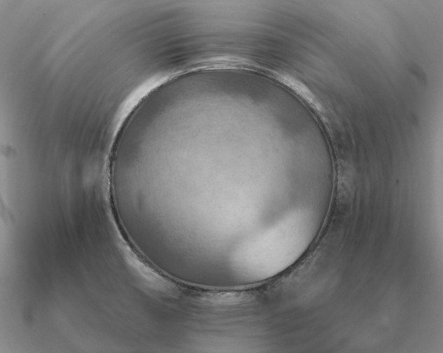 X0000090931474200708061553