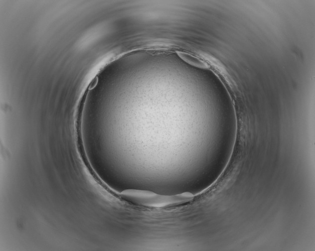 X0000090931475200708061553