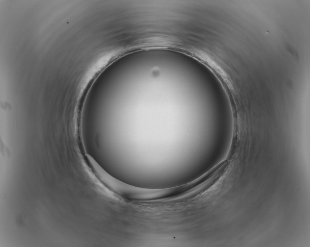X0000090931477200708061553