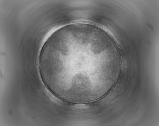 X0000090931478200708061553