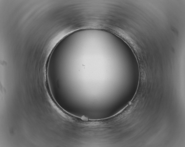 X0000090931479200708061553