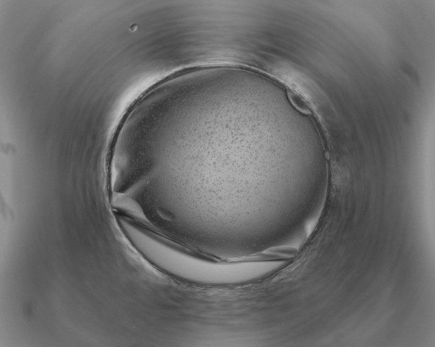 X0000090931480200708061553