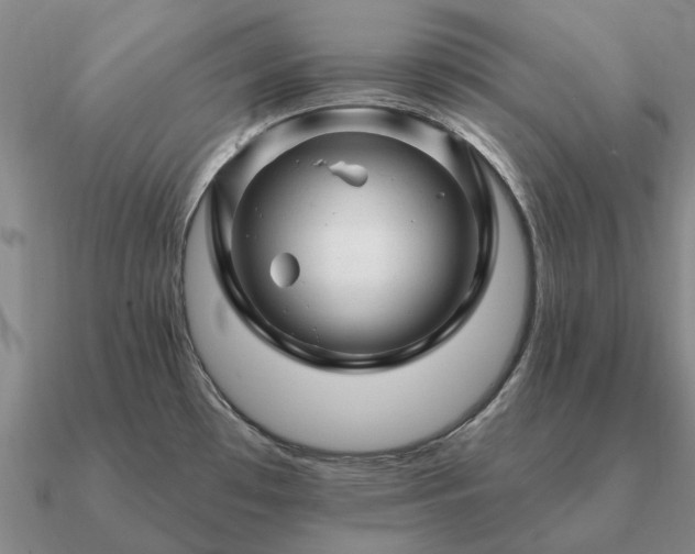 X0000090931481200708061553