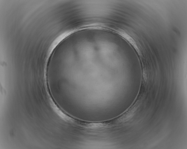 X0000090931482200708061553