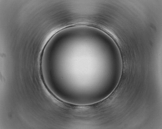 X0000090931483200708061553