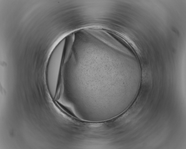 X0000090931484200708061553