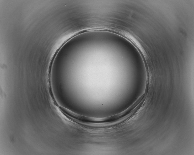 X0000090931485200708061553