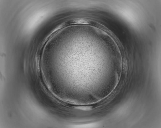 X0000090931487200708061553