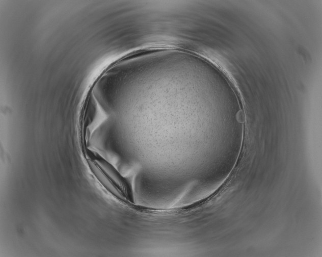 X0000090931488200708061553