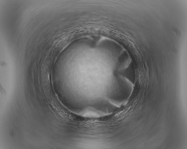 X0000090931489200708061552