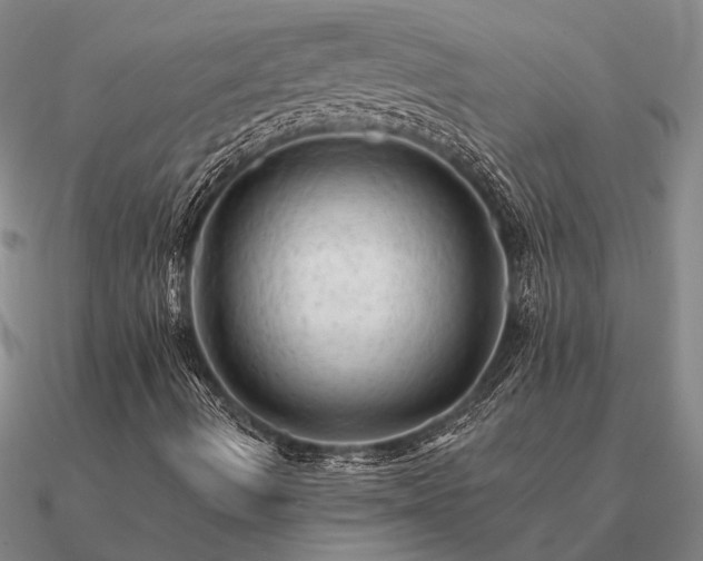 X0000090931490200708061552