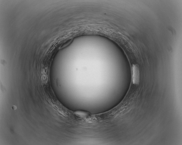 X0000090931491200708061552