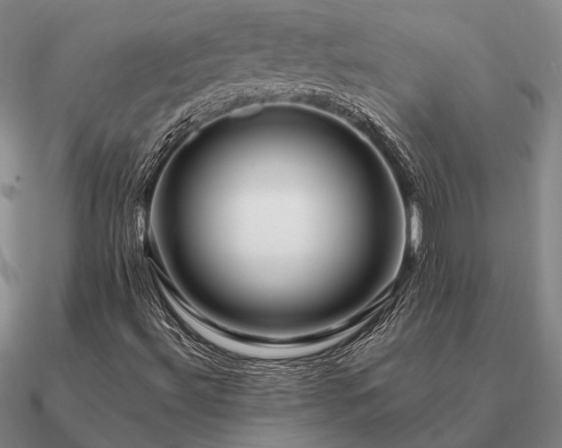 X0000090931492200708061552