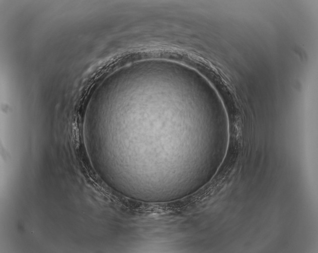 X0000090931493200708061552