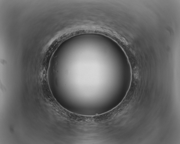 X0000090931495200708061552