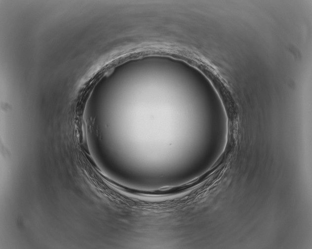 X0000090931496200708061552