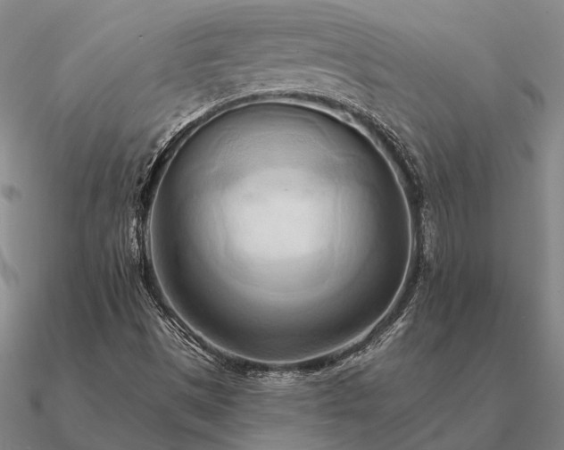 X0000090931497200708061553
