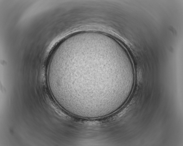 X0000090931498200708061553