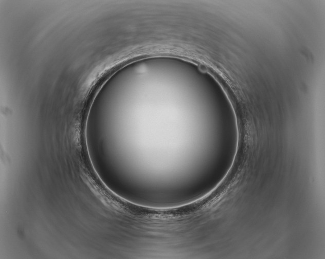 X0000090931499200708061553