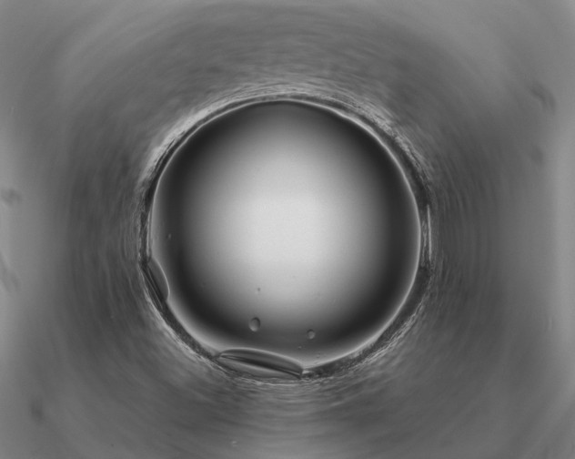 X0000090931500200708061553