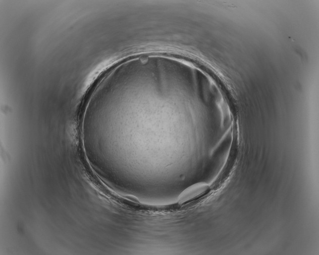 X0000090931501200708061553