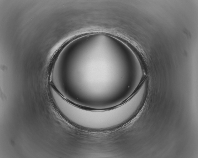 X0000090931502200708061553