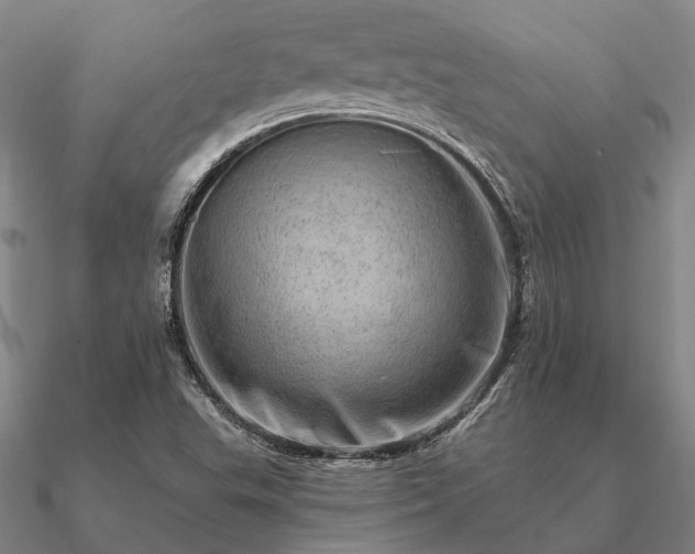 X0000090931503200708061553