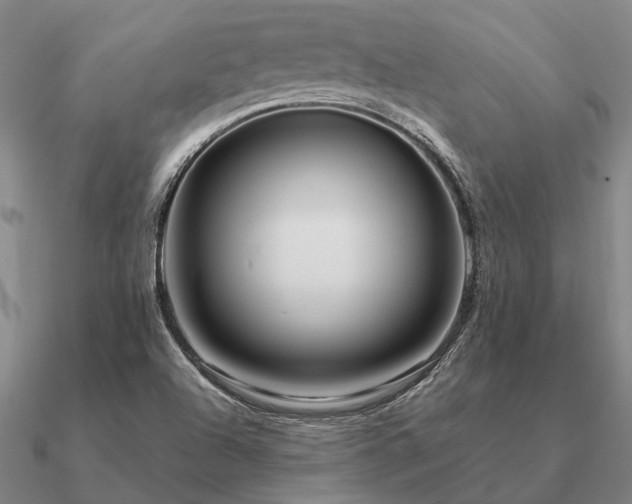 X0000090931504200708061553