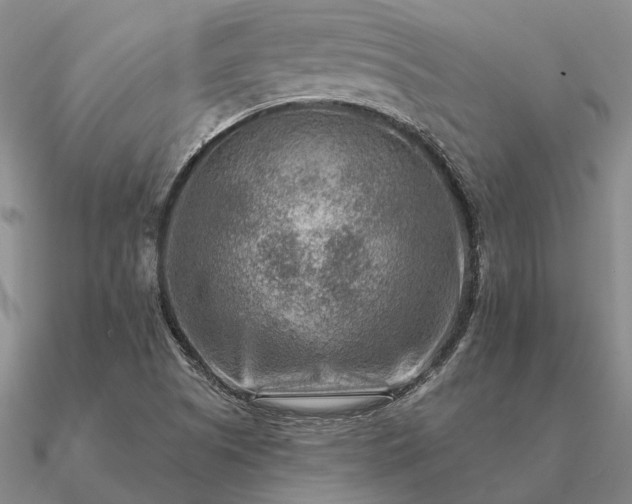 X0000090931505200708061553