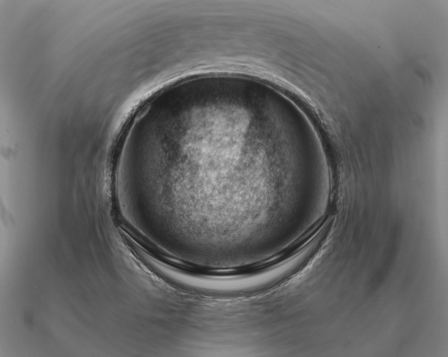 X0000090931506200708061553