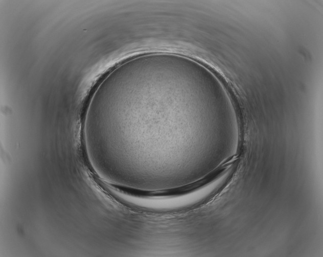 X0000090931507200708061553