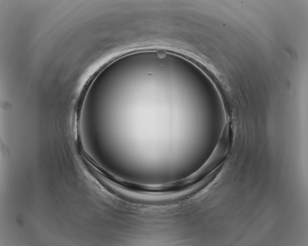 X0000090931510200708061553