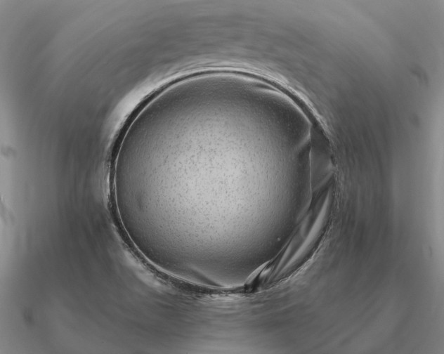 X0000090931511200708061553
