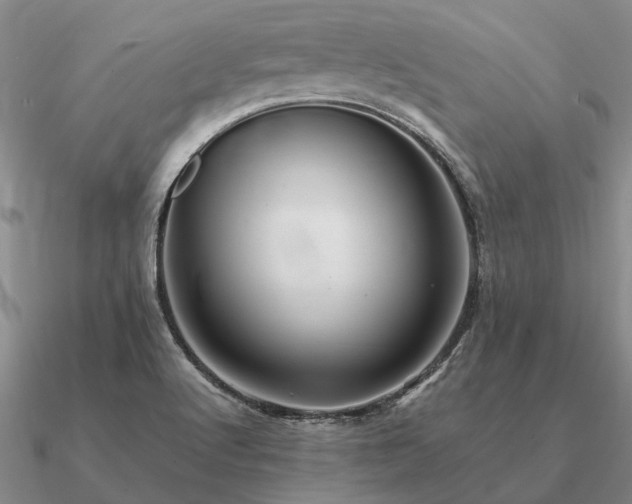 X0000090931512200708061553