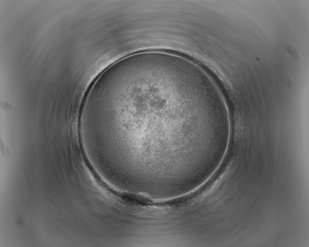 X0000090931513200708061553