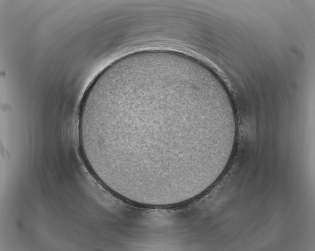 X0000090931514200708061553