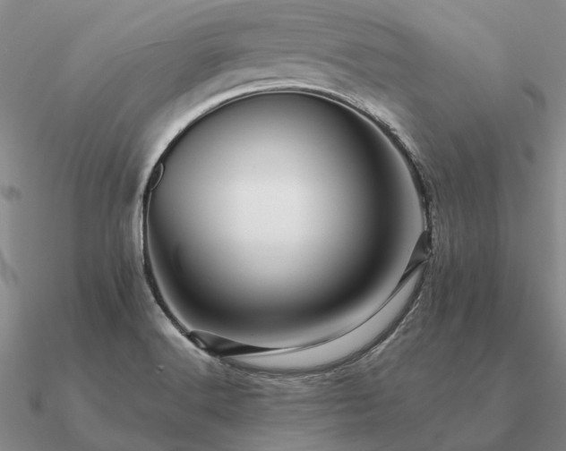 X0000090931516200708061553