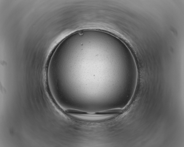 X0000090931517200708061553