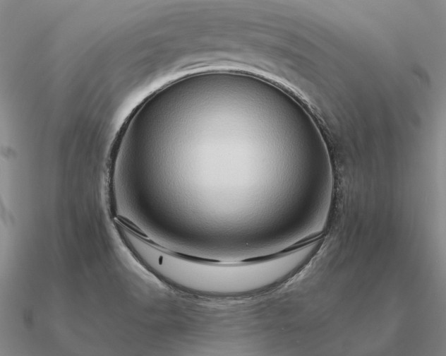 X0000090931518200708061553