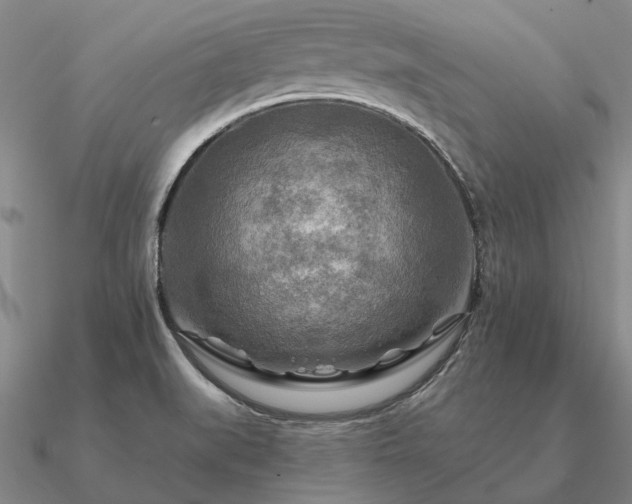 X0000090931519200708061553